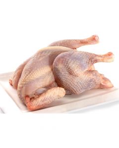 Boiler (Hen)