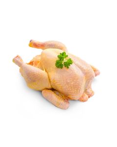 Corn Fed Chicken