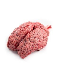 Veal Brain (Whole)