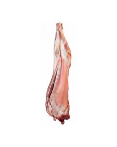 Whole Baby Lamb